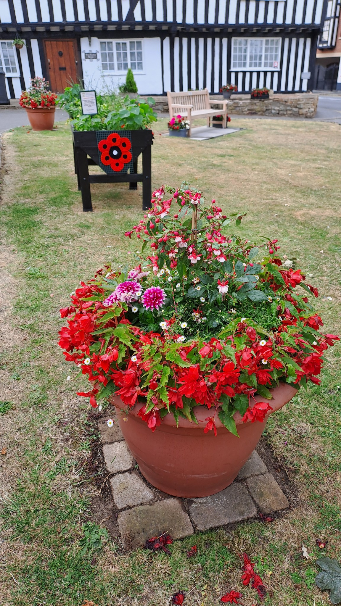 Dunchurch in Bloom